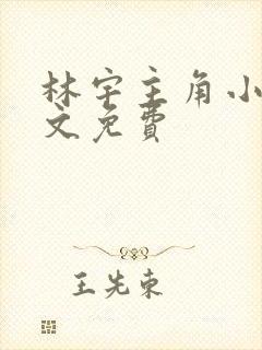 林宇主角小说全文免费