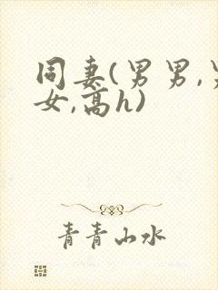 同妻(男男,男女,高h)