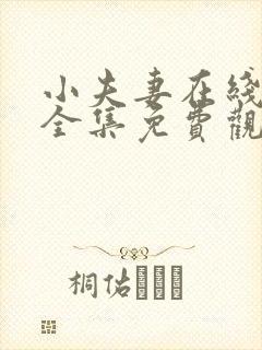 小夫妻在线观看全集免费观看高清