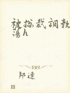 被总裁调教成浪荡h