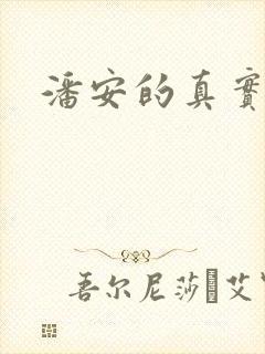 潘安的真实长相