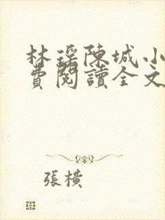 林瑶陈城小说免费阅读全文最新章节封面