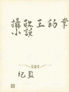 摄政王的掌心宠小说