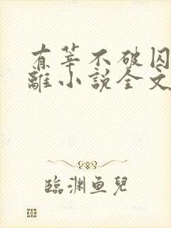 有莘不破囚禁江离小说全文免费阅读