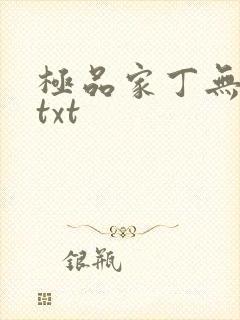 极品家丁无删减txt封面