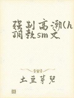 强制高潮(h)调教sm文