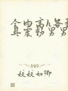 全肉高h各种玩具震动男男