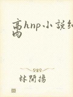 高hnp小说纯肉