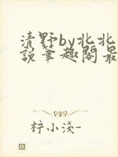 清野by北北小说笔趣阁最新章节