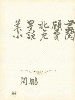 叶星北顾君逐的小说免费阅读