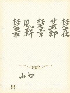 楚风楚芸楚鸿飞最新章节在线阅读