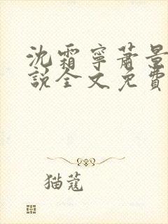 沈霜宁萧景渊小说全文免费阅读封面