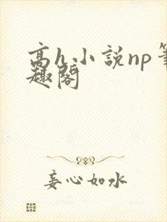 高h小说np笔趣阁封面