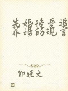 先婚后爱追妻火葬场的现言小说