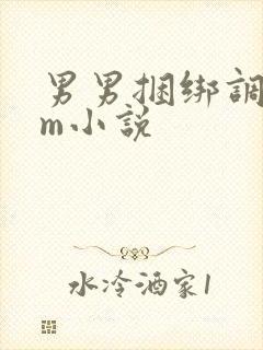 男男捆绑调教sm小说