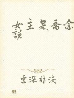 女主是乔念的小说