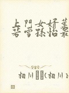 上门女婿叶辰夏若雪孙怡最新章节