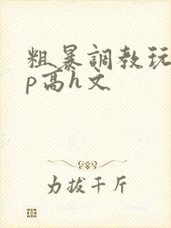 粗暴调教玩弄np高h文