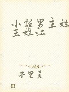 小说男主姓陆女主姓江