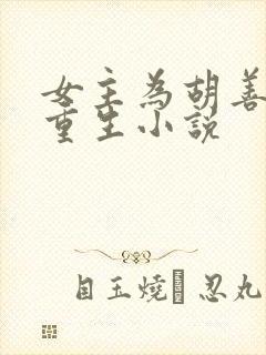 女主为胡善祥的重生小说封面