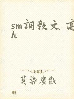 sm调教文 高h封面