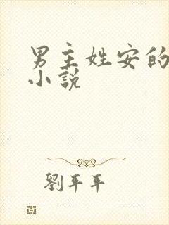 男主姓安的总裁小说