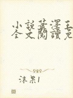 小说萧泽王雪凤全文阅读免费