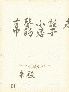 有声小说 老街中的痞子