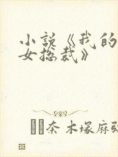 小说《我的高冷女总裁》