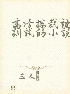 高冷总裁被强制训诫的小说叫什么封面