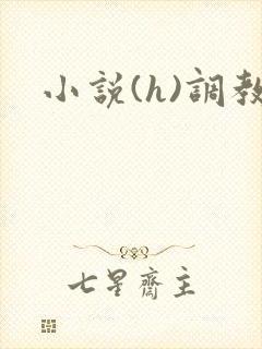 小说(h)调教