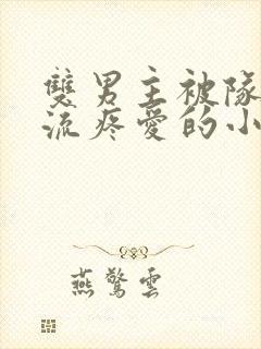 双男主被队友轮流疼爱的小说笔趣阁