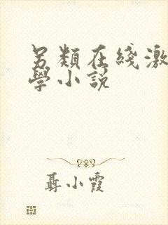 另类在线激情文学小说封面