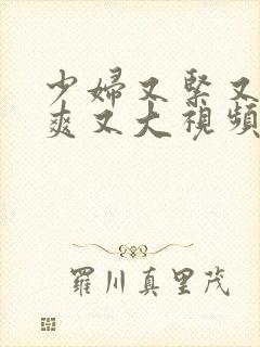 少妇又紧又粗又爽又大视频在线观看