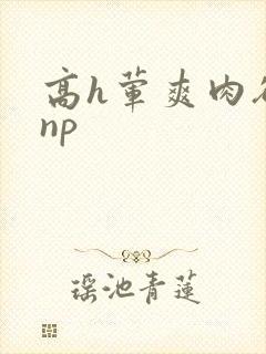 高h荤爽肉欲文np