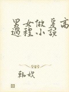 男女做爰高潮全过程小说封面