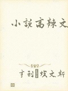 小说高辣文h封面