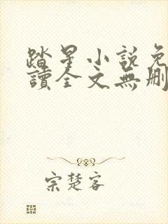 踏星小说免费阅读全文无删减