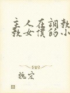主人在调教室调教女仆的小说封面