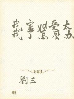 我家yd受太爱我了怎么办