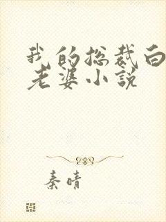 我的总裁白富美老婆小说