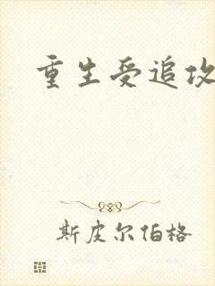 重生受追攻封面
