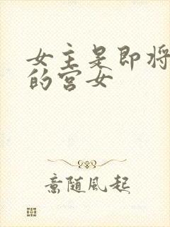 女主是即将出宫的宫女