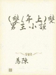 (双/年上)双男主小说封面