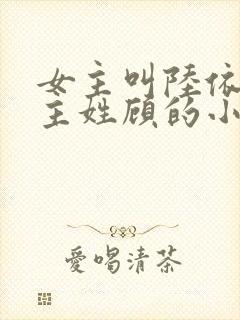 女主叫陆依依男主姓顾的小说