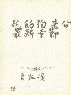 我的狗老公小说最新章节