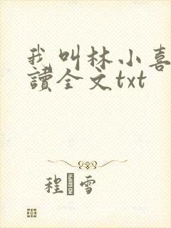 我叫林小喜全阅读全文txt