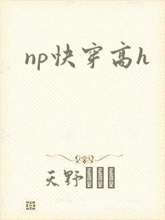 np快穿高h