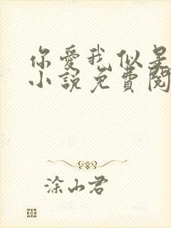 你爱我似是而非小说免费阅读封面