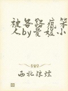 被各路疯笨蛋美人by爱媛小说封面